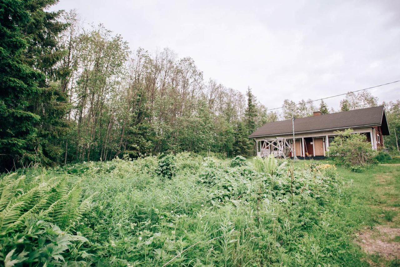 Käylä North Story Cottages Near Ruka المظهر الخارجي الصورة